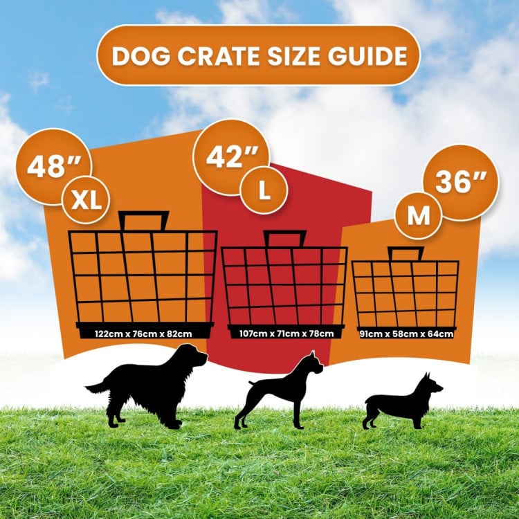 Royale 36in Foldable Pet Wire Dog Crate - Medium image 10