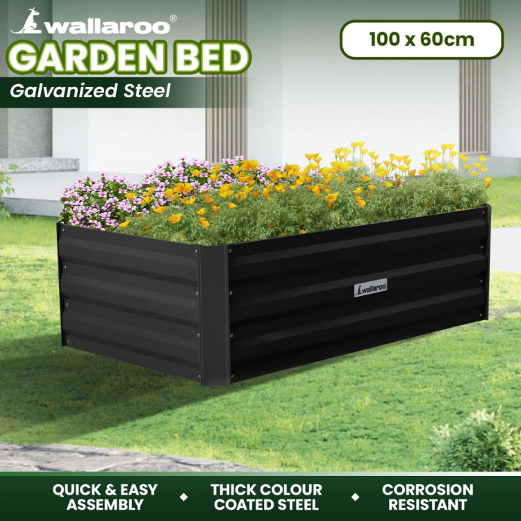 Wallaroo Garden Bed 100 x 60 x 30cm Galvanized Steel - Black image 10