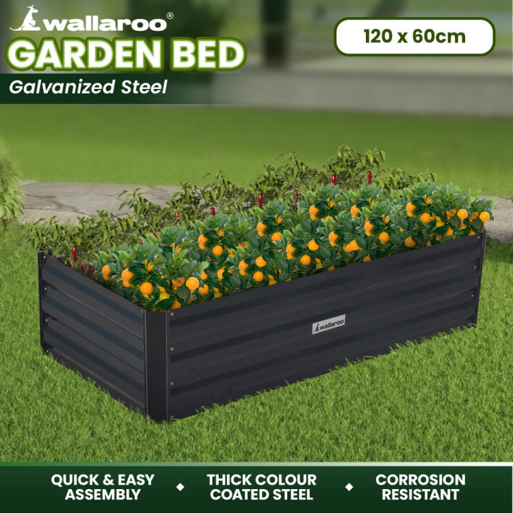Wallaroo Garden Bed 120 x 60 x 30cm Galvanized Steel - Black image 10