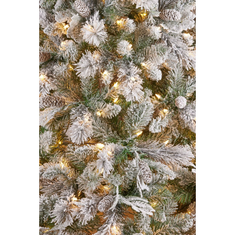 7.5ft Christmas Tree with Lights- Wesley Pine image 4