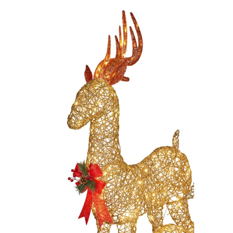 Set of 3 Outdoor Christmas Display Reindeer with Lights image 4
