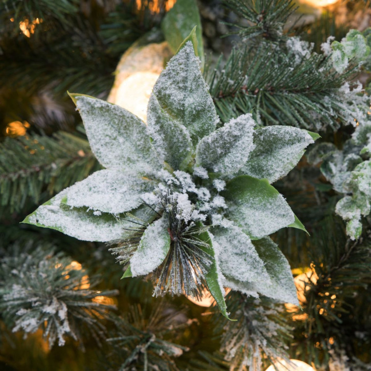 Christabelle Snowy Crown Pine 2.3m Multicolour Pre-Lit Christmas Tree with 1453 Tips image 8