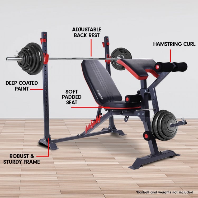 Powertrain Home Gym Workout Bench Press Incline Preachers Curl - 301 image 7