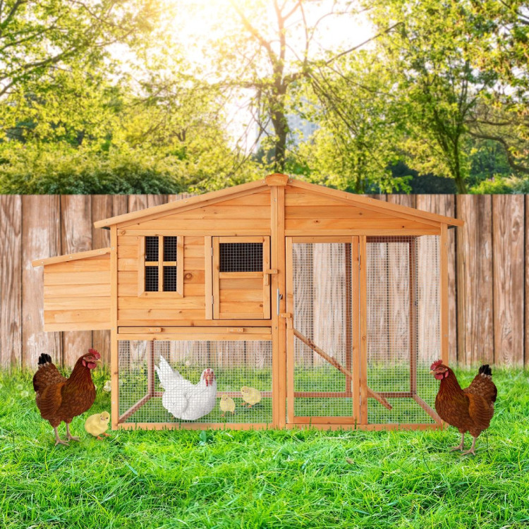 Furtastic Large Chicken Coop & Rabbit Hutch With Ramp image 10