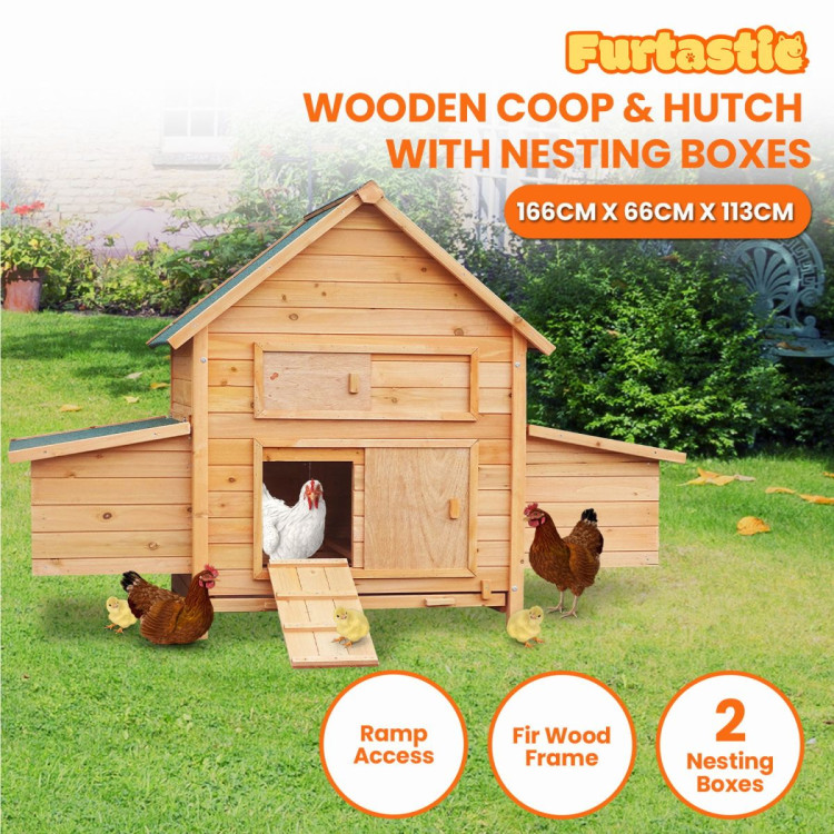 Furtastic Wooden Chicken Coop & Rabbit Hutch With Ramp Nesting Boxes image 3