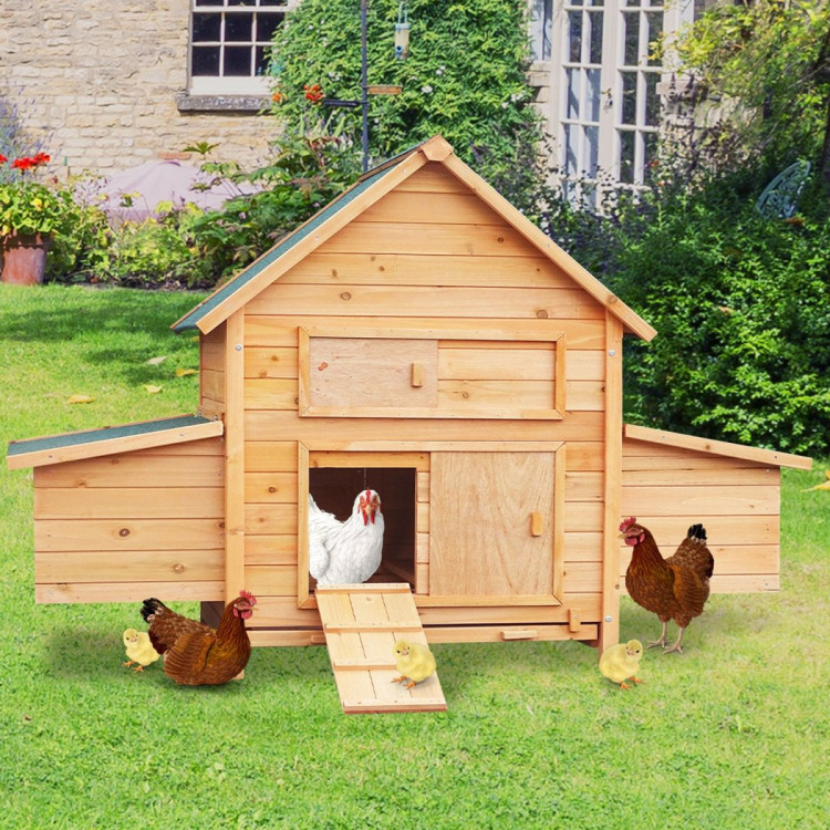 Furtastic Wooden Chicken Coop & Rabbit Hutch With Ramp Nesting Boxes image 11