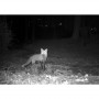 Digital Wide Angle Security Scouting Trail Camera 12mp thumbnail 4