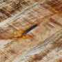 Coffee Table Rough Mango Wood 70x70x40 Cm thumbnail 2