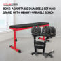 Powertrain 80KG Adjustable Dumbbell Set & Stand with Height-Variable Bench thumbnail 2