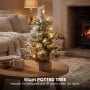 Christabelle Frosted Colonial Christmas 3pc Set 61cm Tree 61cm Wreath 2.7m Garland with LED Lights Holiday Pre-lit Decor thumbnail 10