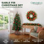 Christabelle Sable Fir Christmas 3pc Set 1.2m Potted Tree 61cm Wreath 2.74m Garland with Multicoloured LED Lights Decor thumbnail 2