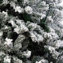 Christabelle Snow-Tipped Artificial Christmas Tree 1.5m - 550 Tips thumbnail 3