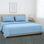 1000 Thread Count Cotton Rich King Bed Sheets 4-Piece Set in Blue thumbnail 9