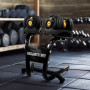 Powertrain Pair of 24kg Gold Adjustable Dumbbell Home Gym Weights with Stand thumbnail 14