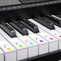 Karrera 61 Keys Electronic LED Keyboard Piano with Stand - Black thumbnail 7