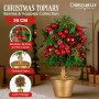 Christabelle 36cm Christmas Tabletop Topiary Berries & Baubles thumbnail 10