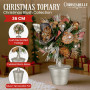 Christabelle 36cm Christmas Tabletop Topiary - Christmas Blush thumbnail 6