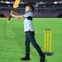 Cricket Australia Rock N Roll Cricket Stumps with Bluetooth thumbnail 6