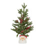Christmas Tree with Lights in Santa Pot - 55cm thumbnail 1