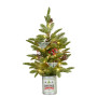 Christmas Tree with Lights in Tin Pot - 65cm thumbnail 1