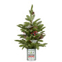 Christmas Tree with Lights in Tin Pot - 65cm thumbnail 2