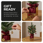 Christabelle 45cm 1.5ft Potted Christmas Tree Decorations Gift Pack Hessian Red Gold Baubles Festive Holiday Decoration thumbnail 7