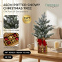 Christabelle 45cm 1.5ft Snowy Potted Christmas Tree Decorations Gift Pack Hessian Red Gold Baubles Tabletop Mini Compact thumbnail 10