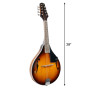 Karrera Traditional Mandolin - Sunburst thumbnail 3