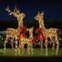 Christabelle 3 Reindeer Family Christmas Light Up Display 1.3m LED Outdoor Indoor Xmas Yard Lawn Statue Home Decor thumbnail 6