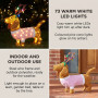 Christabelle 73cm Dachshund Dog Christmas Light Up Display Pine Cone Lights Outdoor Indoor Xmas Yard Lawn Statue thumbnail 3