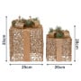 Set of 2 Light Up Christmas Gift Boxes Champagne Gold Battery Operated Warm White LED Present Decorations 35cm 28cm thumbnail 4