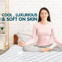 Laura Hill Cool Max Mattress Protector- Queen thumbnail 7