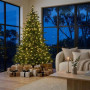 Christabelle 2.3m 7.5ft Bellewood Fir Christmas Tree Pre Lit Multi Function LED Foot Pedal Power Connect Hinged thumbnail 4