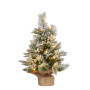 2ft Christmas Tree with Lights- Potted Frosted Colonial thumbnail 1