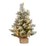 Christabelle 2ft Christmas Tree with Lights- Potted Frosted Colonial thumbnail 1