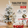 National Tree Company 61cm Snowy Dorchester Prelit Tabletop Christmas Tree thumbnail 4
