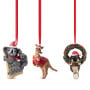 Christabelle Australian Animal Christmas Tree Decorations Set of 6 Hand-Painted Resin Ornaments Gift Box thumbnail 7