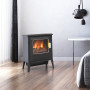 Dimplex 2kW Riley Portable Electric Fire Stove thumbnail 7