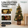 Christabelle 1.2m 4ft Deluxe Mountain Pine Potted Christmas Tree Pre Lit Multi Function LED Artificial Indoor Xmas Decor thumbnail 13