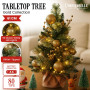 Christabelle 61cm Battery-Operated Christmas Tree Warm Lights LED Table Top Gold thumbnail 1