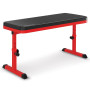 Powertrain Height-Adjustable Exercise Home Gym Flat Weight Bench thumbnail 1