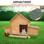 Furtastic Wooden Chicken Coop & Rabbit Hutch With Ramp Nesting Boxes thumbnail 6
