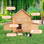 Furtastic Wooden Chicken Coop & Rabbit Hutch With Ramp Nesting Boxes thumbnail 9