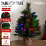 Christabelle 61cm Battery-Operated Christmas Tree with Multi-Function Lights - Dorset Pine thumbnail 1