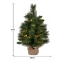 Christabelle 61cm Battery-Operated Christmas Tree with Multi-Function Lights - Dorset Pine thumbnail 3