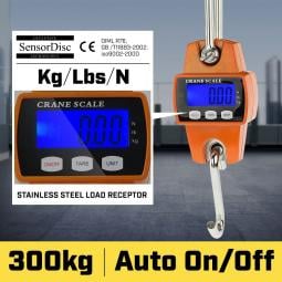 Digital electronic Mini crane scales 300kg