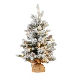 National Tree Company 61cm Snowy Dorchester Prelit Tabletop Christmas Tree
